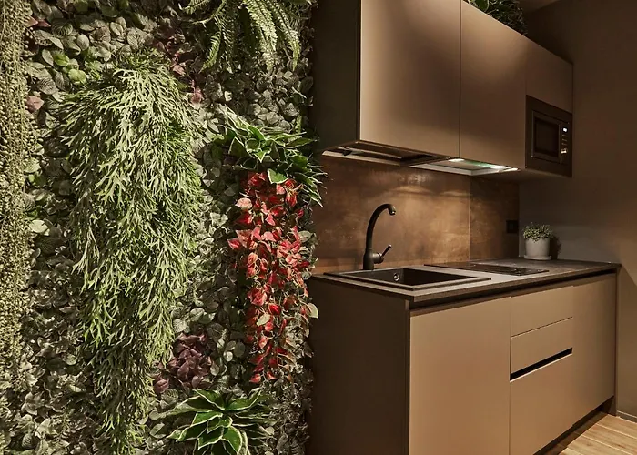 After8-material Местре